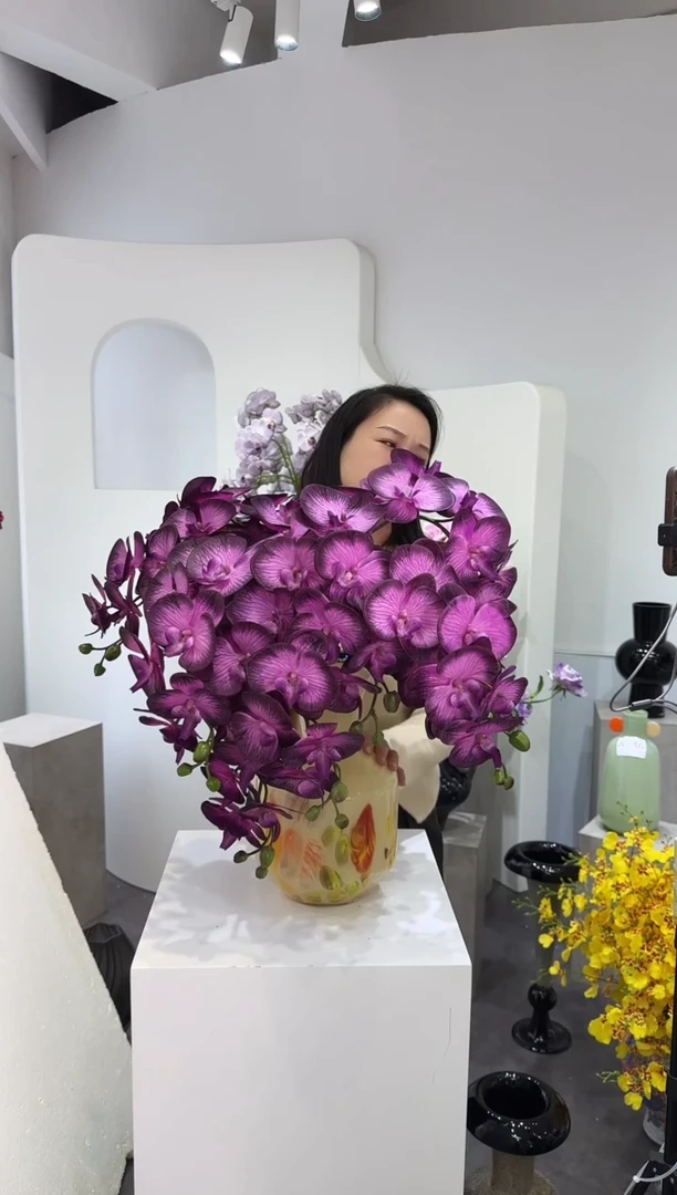 【闪购商品】藤10枝黑紫蝴蝶兰