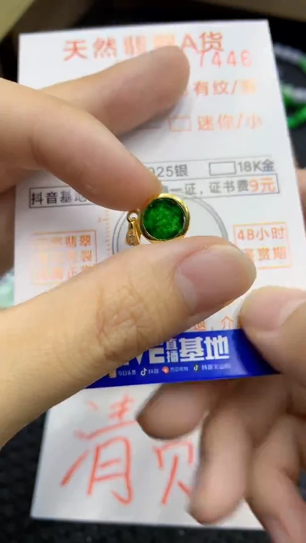 翡翠未镶嵌颈饰            8