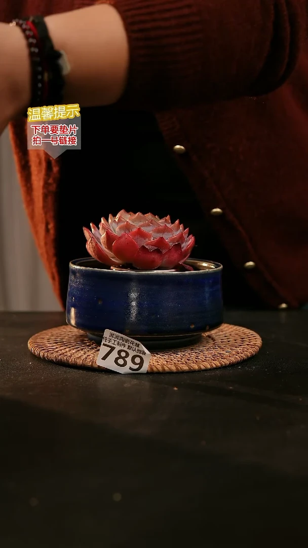 瓷片789内口约12 外高约7