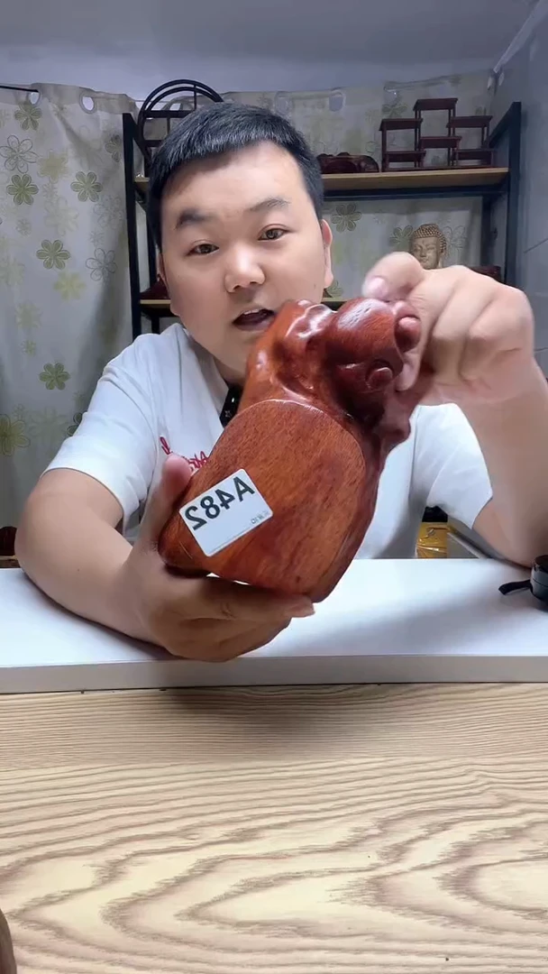 木482-------------