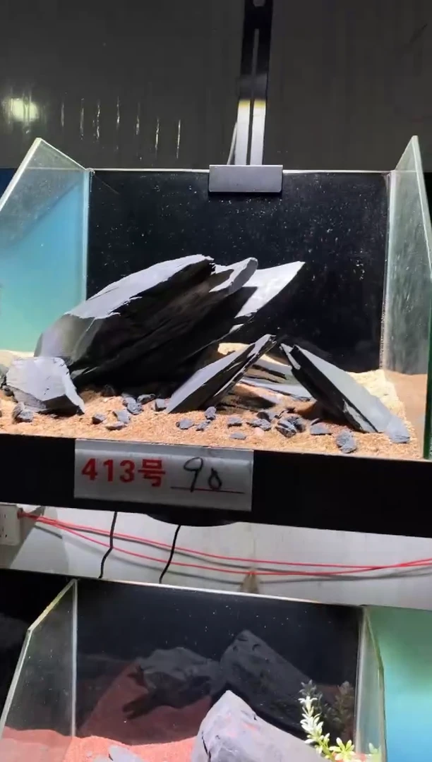 413号鱼缸造景（不含底砂）