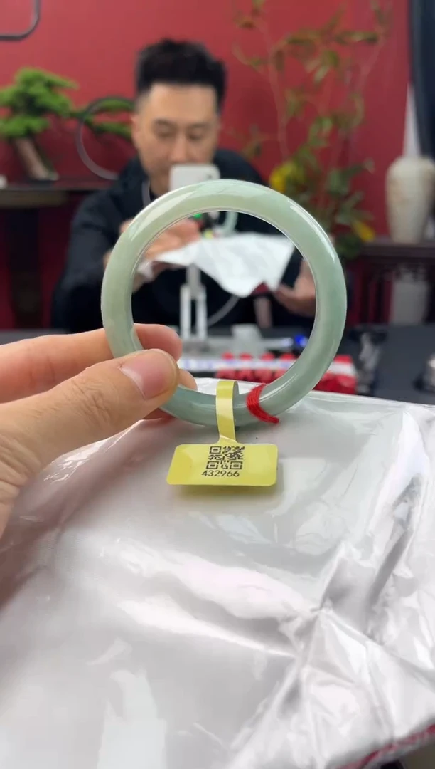 未镶嵌手镯翡翠5
