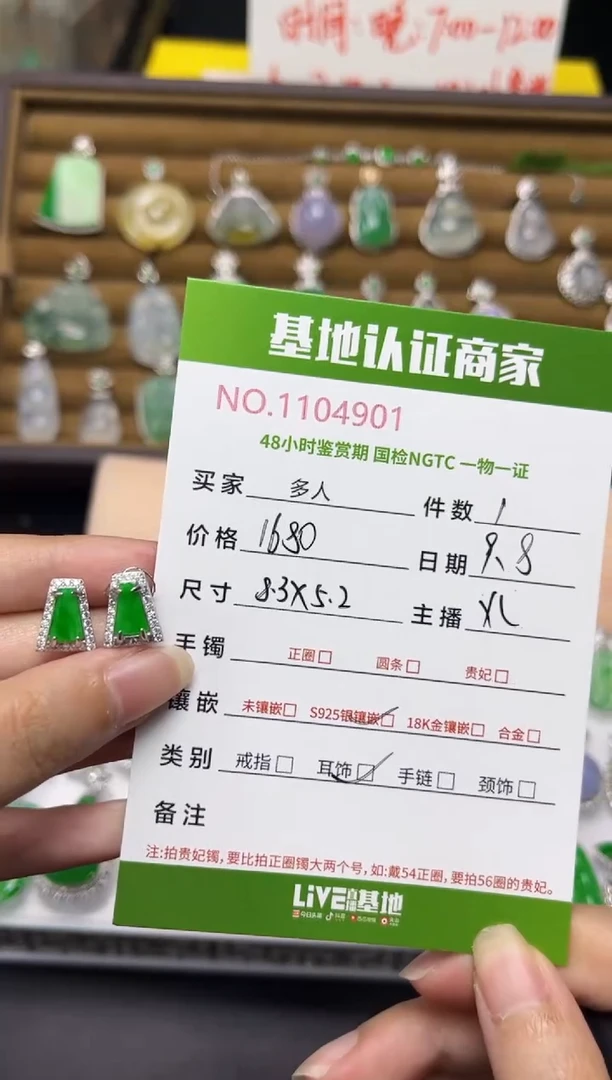 银S925镶嵌翡翠耳饰多人