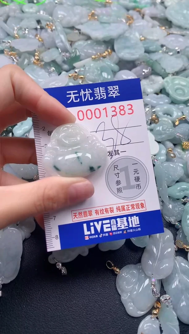 颈饰未镶嵌翡翠1383