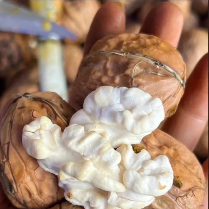 b【去青皮核桃】大凉山头茬老树核桃湿核桃嫩脆仁香老人小孩孕妇