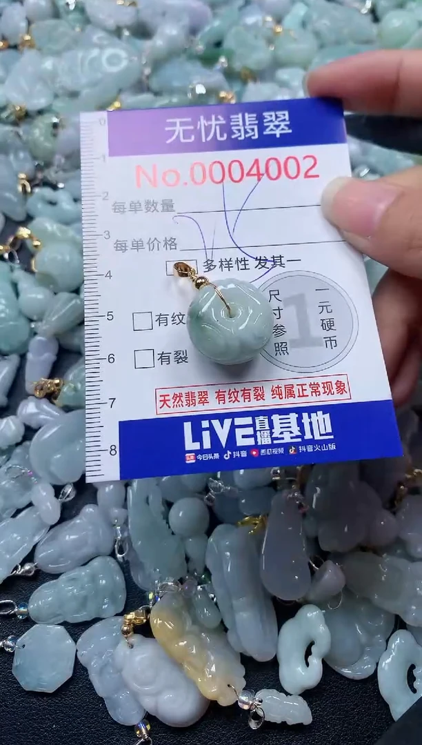 颈饰未镶嵌翡翠4002