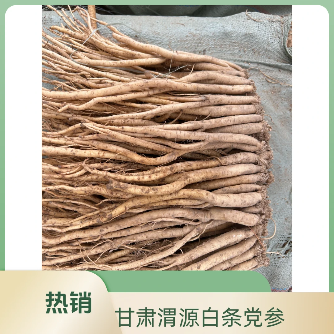 甘肃渭源产地直发新鲜白条党参可煲汤泡水煮粥滋补