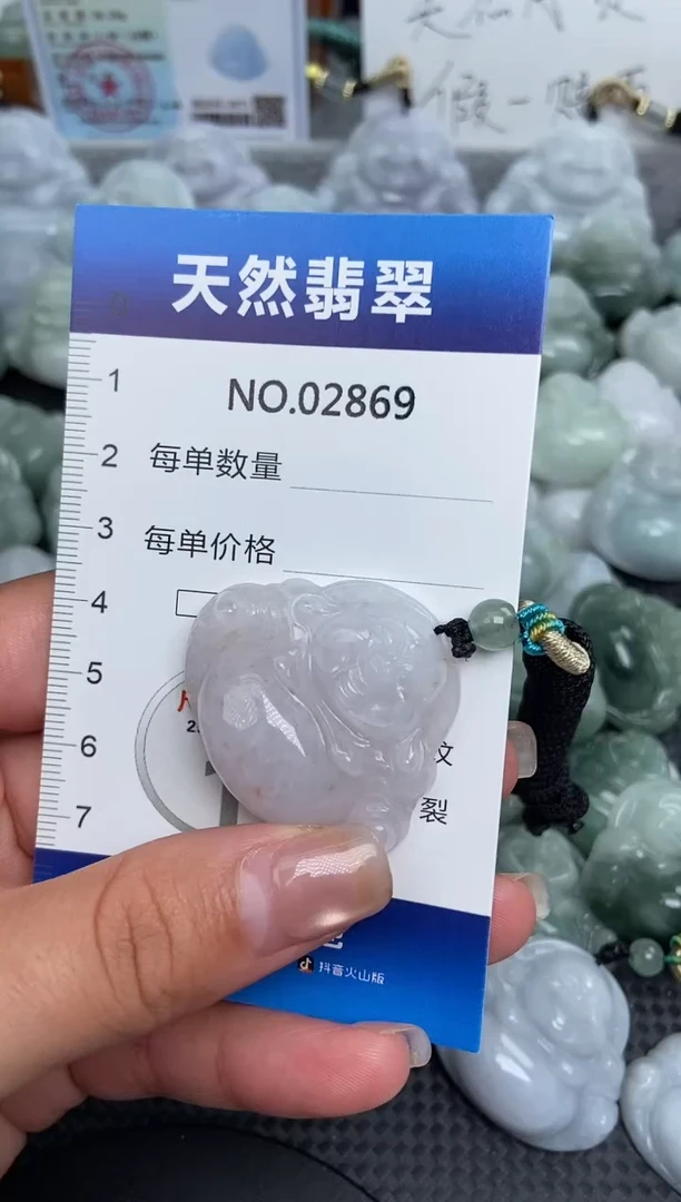 颈饰未镶嵌翡翠纯天然A货翡翠2869