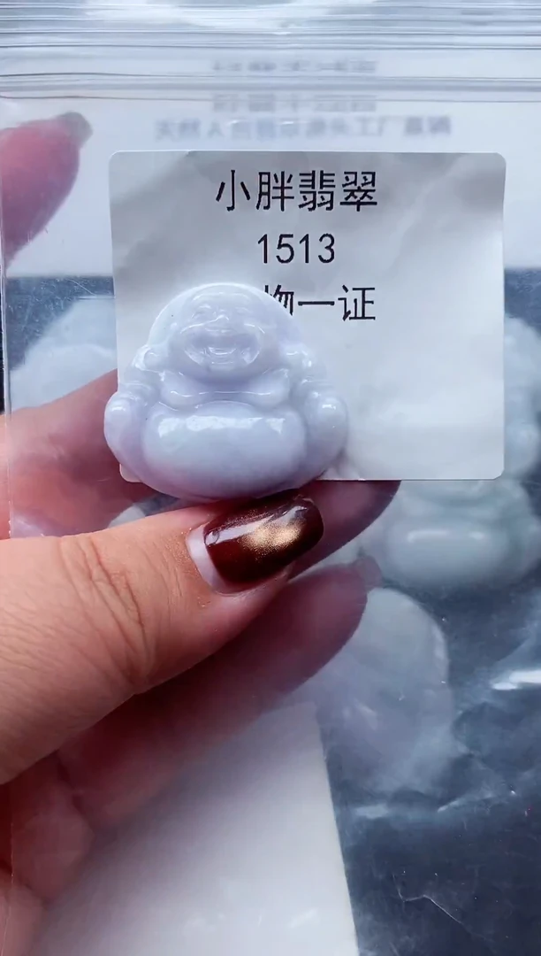 颈饰未镶嵌翡翠缅甸天然A货翡翠1513