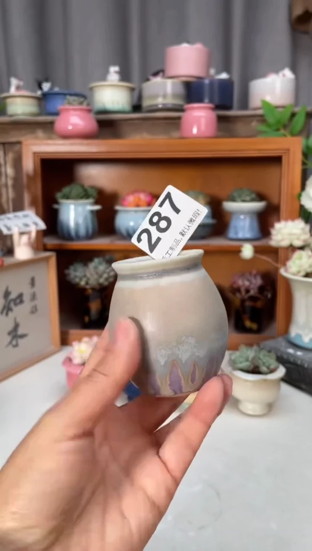 瓷片287小芳花盆直播编号
