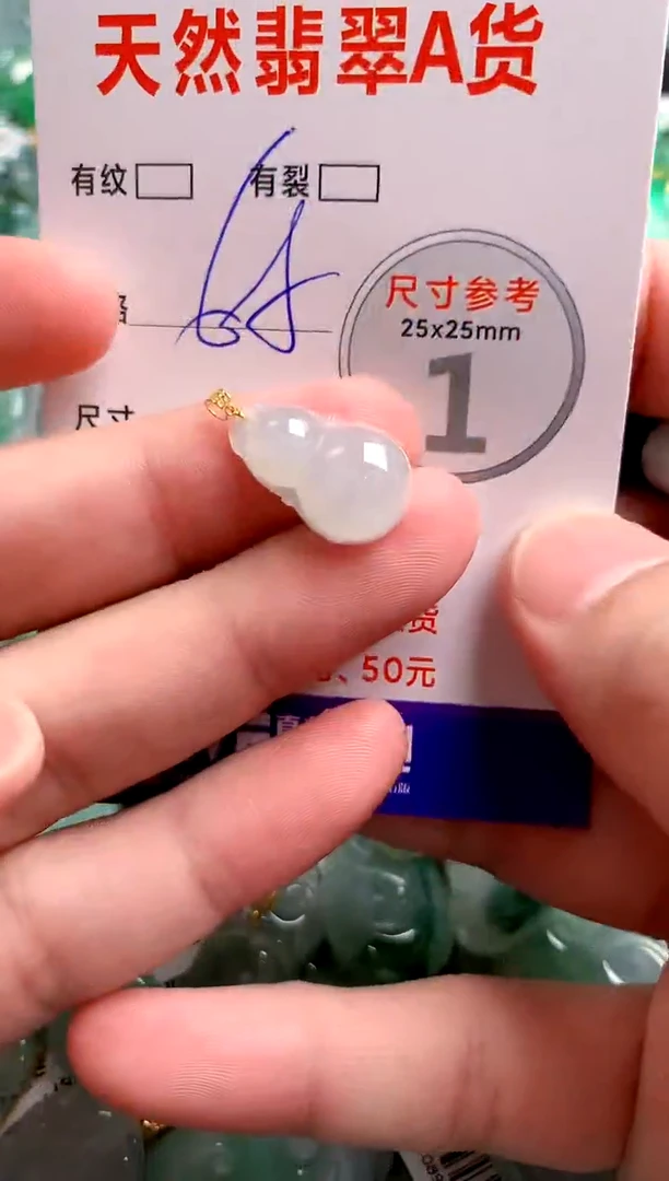 翡翠18K金镶嵌颈饰14005620