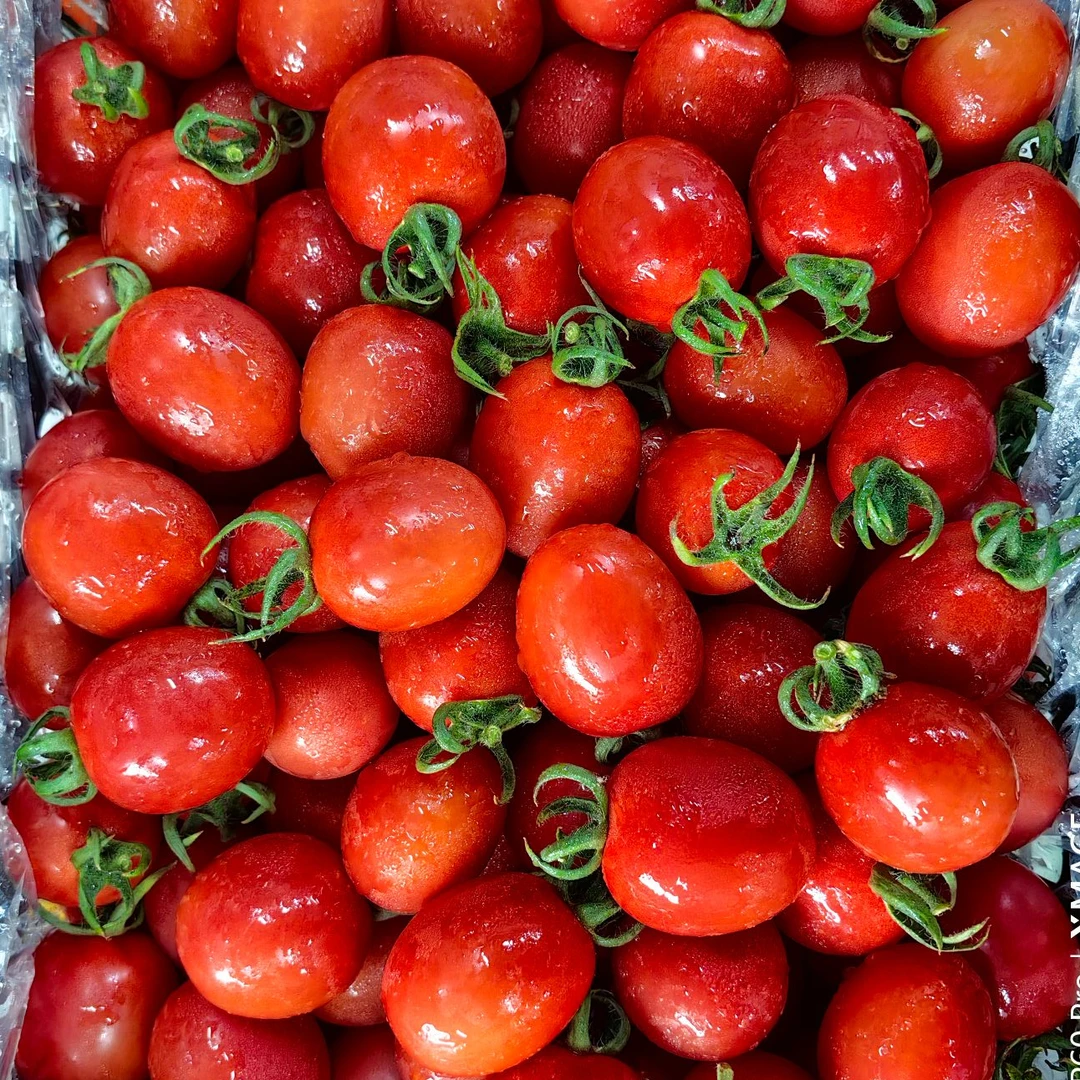 【顺丰次日送达】海南千禧果