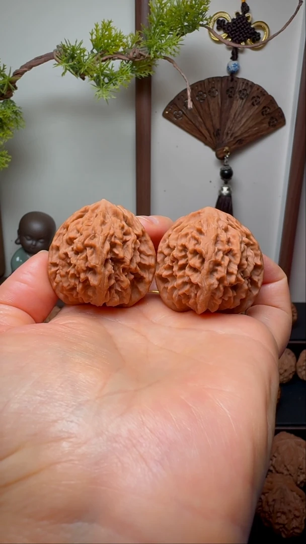 把件文玩核桃皇冠货头 肚40