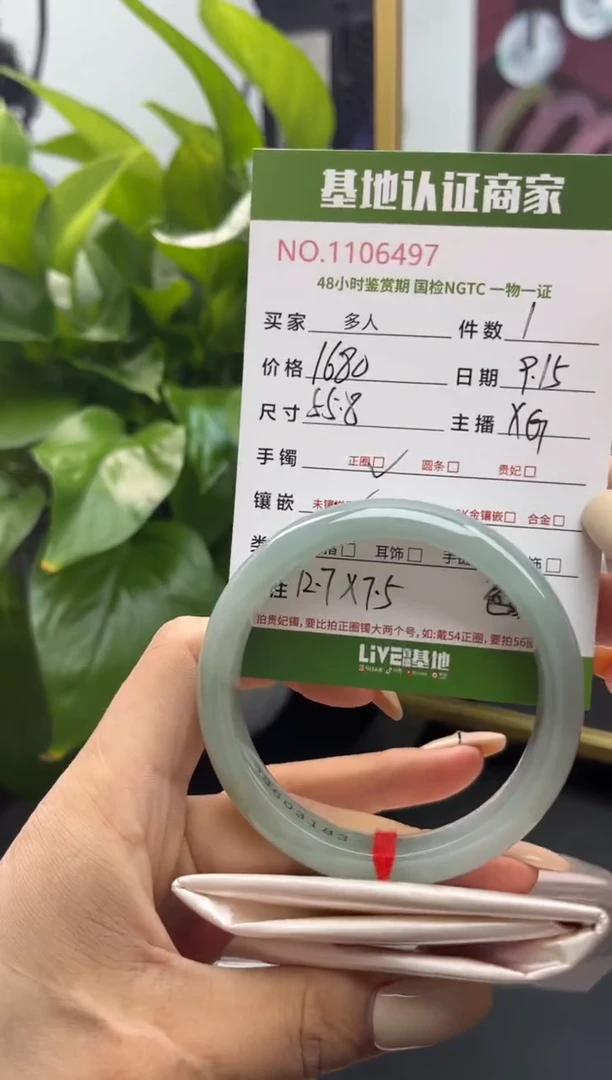 未镶嵌手镯翡翠多样性拍一发一