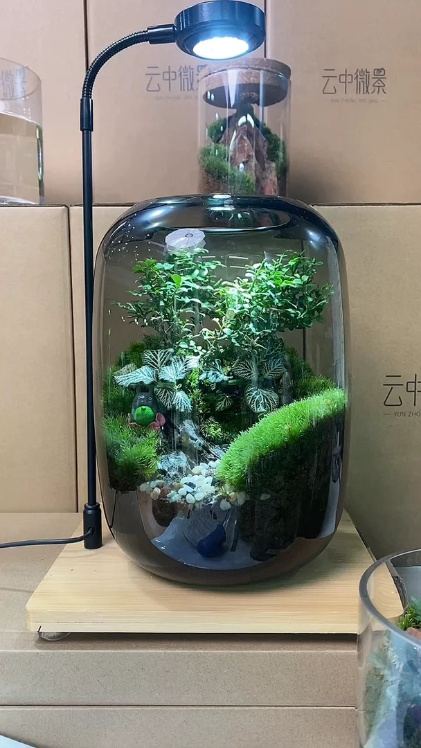 【闪购商品】孤品绿野仙踪微景观