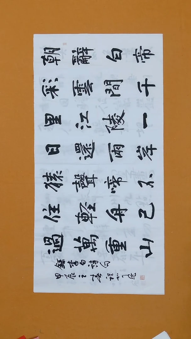 书法程加飞138*68山东理S