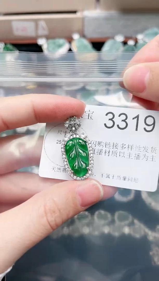 【闪购商品】翡翠颈饰未镶嵌赠皮绳3319