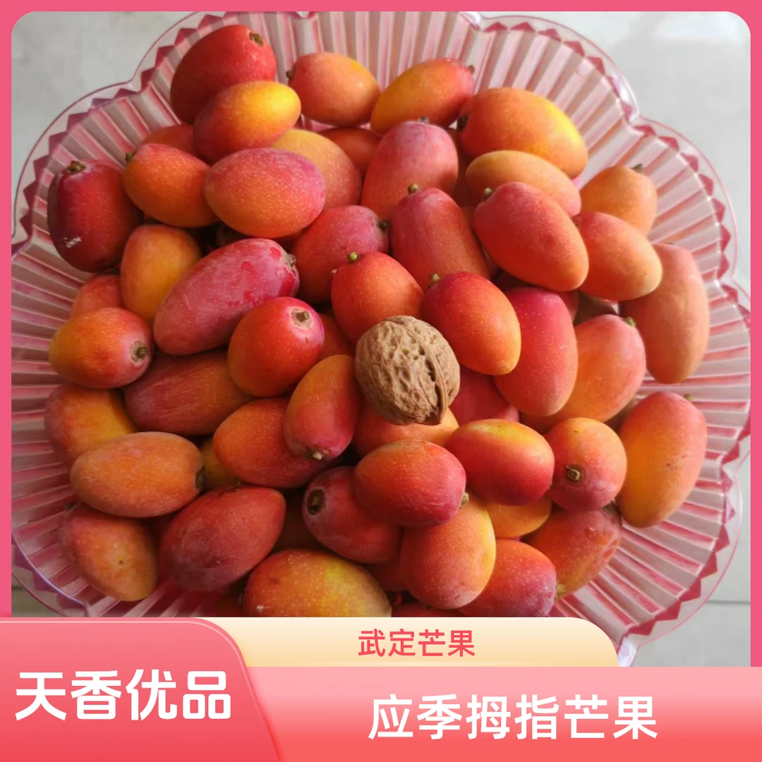云南武定己衣拇指芒 皮薄肉厚核小 坏果包赔  应季水果