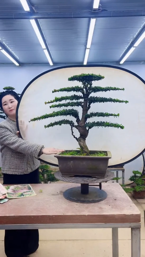 无花朵一物一拍，所见即所得