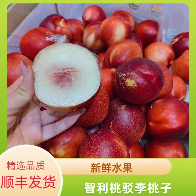 当现货季智利白肉油桃桃驳李新鲜桃子孕妇水果1-3斤装顺丰发货