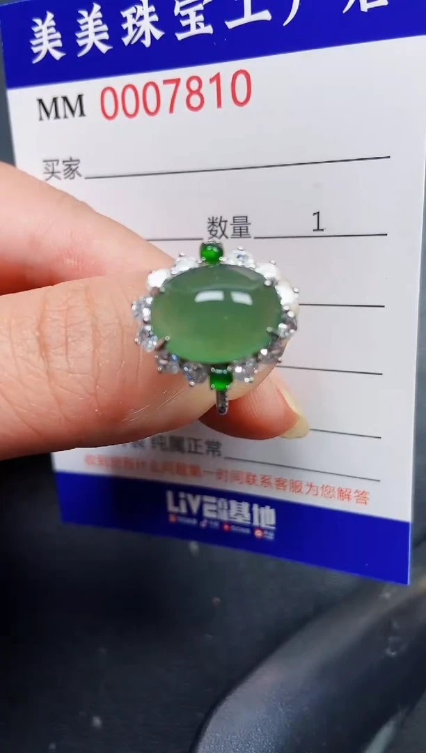 翡翠银S925镶嵌颈饰7810