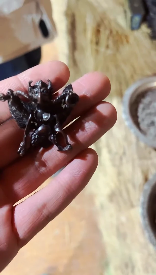 【闪购商品】大硕硕精品精选链接9