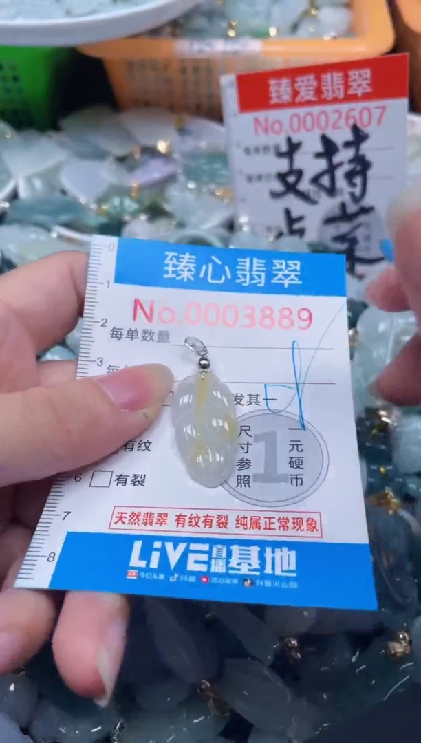 颈饰未镶嵌翡翠3889