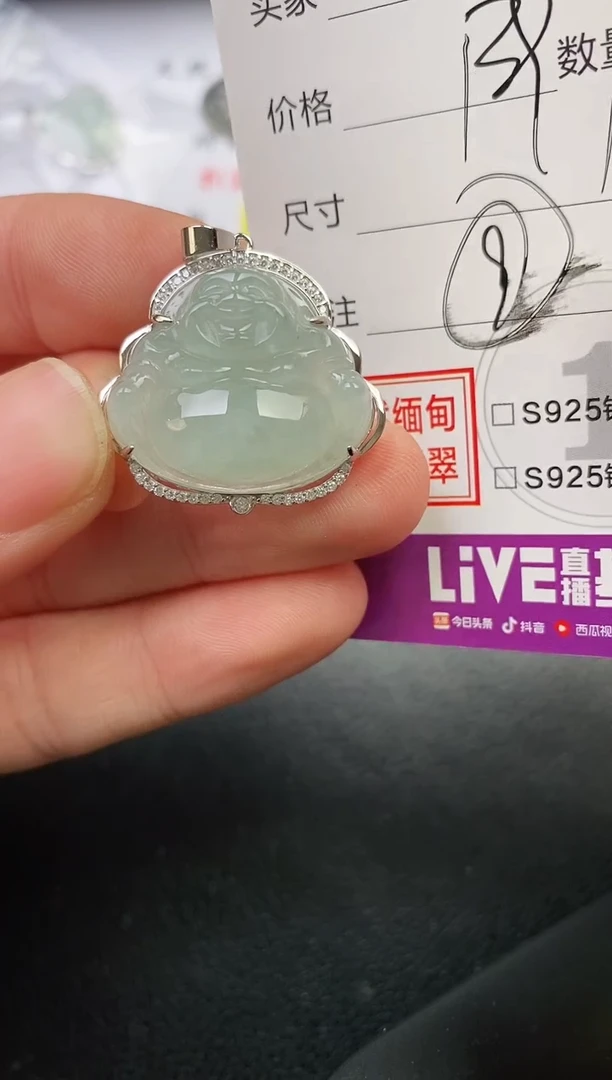 颈饰银S925镶嵌翡翠望***子挂件