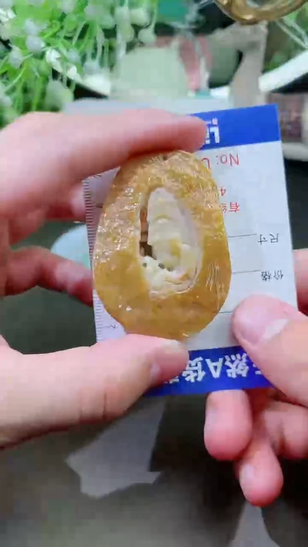 【闪购商品】翡翠颈饰未镶嵌天然A货翡翠一件