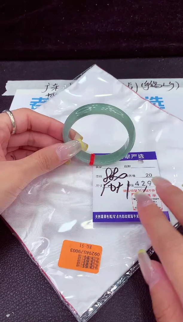 未镶嵌手镯翡翠11111111