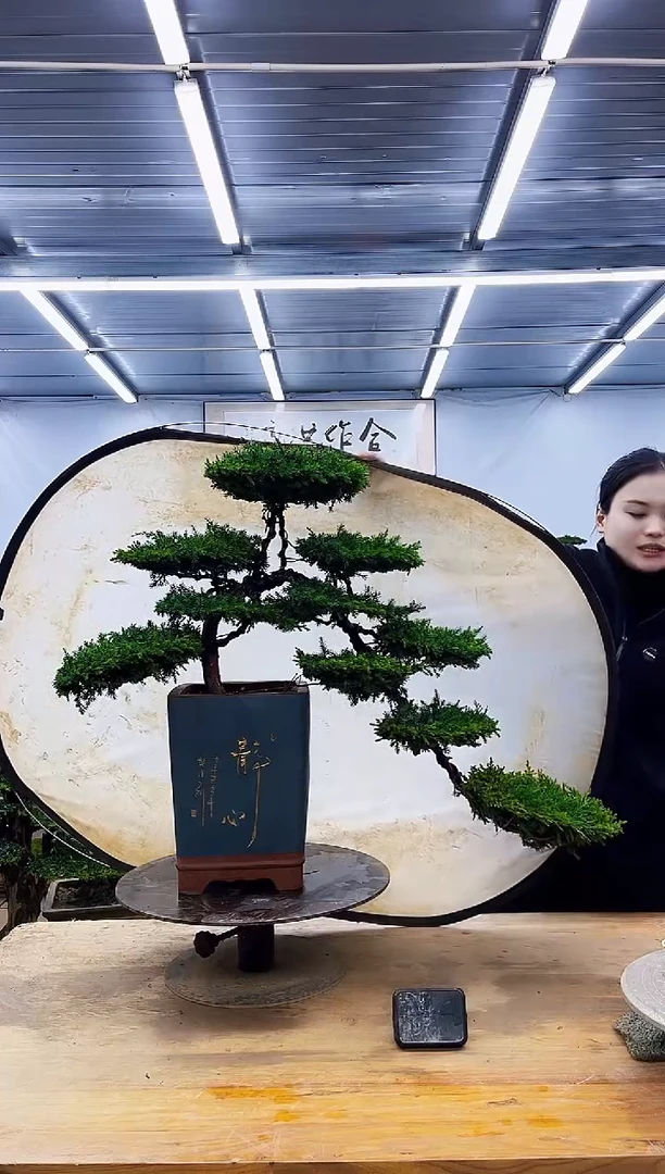 无花朵一物一拍，所见即所得