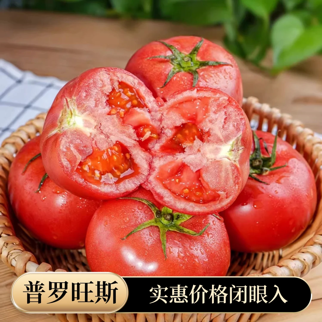 陕西泾阳普罗旺斯水果西红柿自然成熟生吃沙瓤草莓心番茄