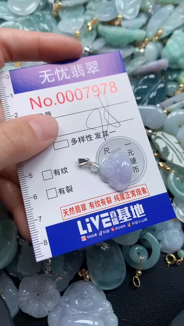 颈饰未镶嵌翡翠7979
