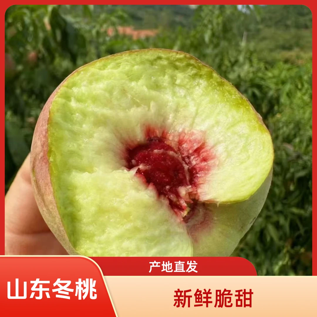 沂蒙山农家枣桃小冬桃稀有品种