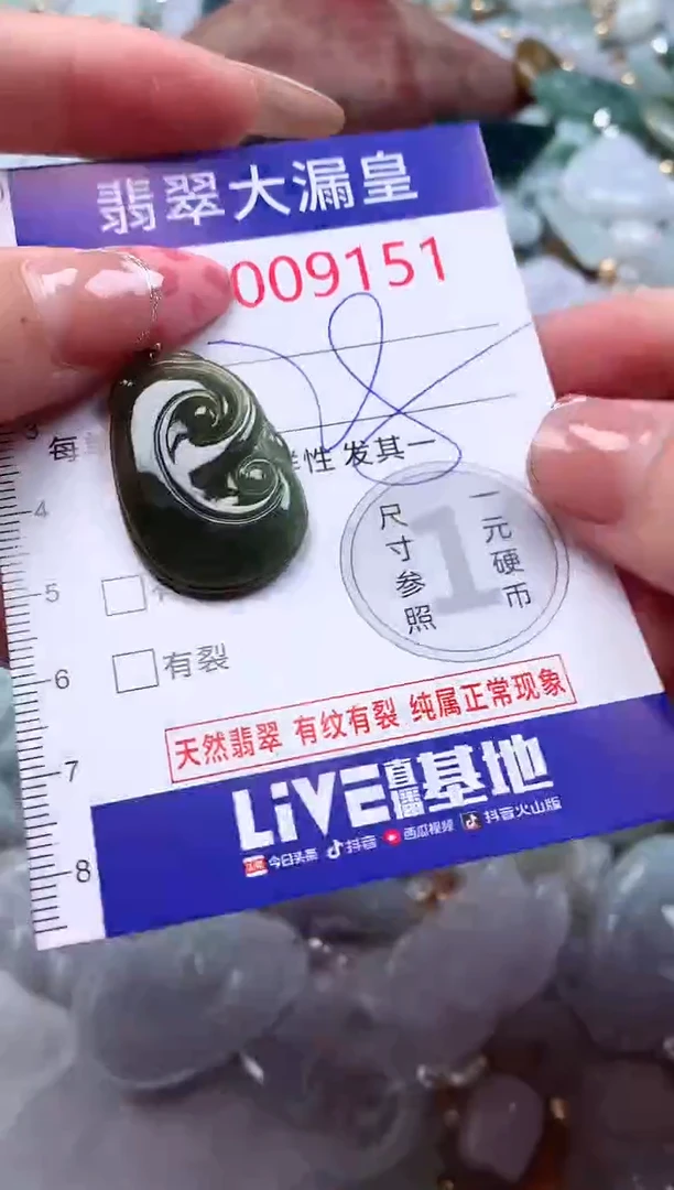 颈饰未镶嵌翡翠9151