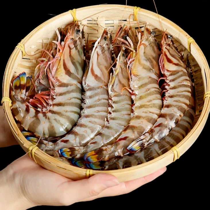 九节虾 冷冻发货 部分有断头虾 软壳虾 介意勿拍 【保新鲜保肥】