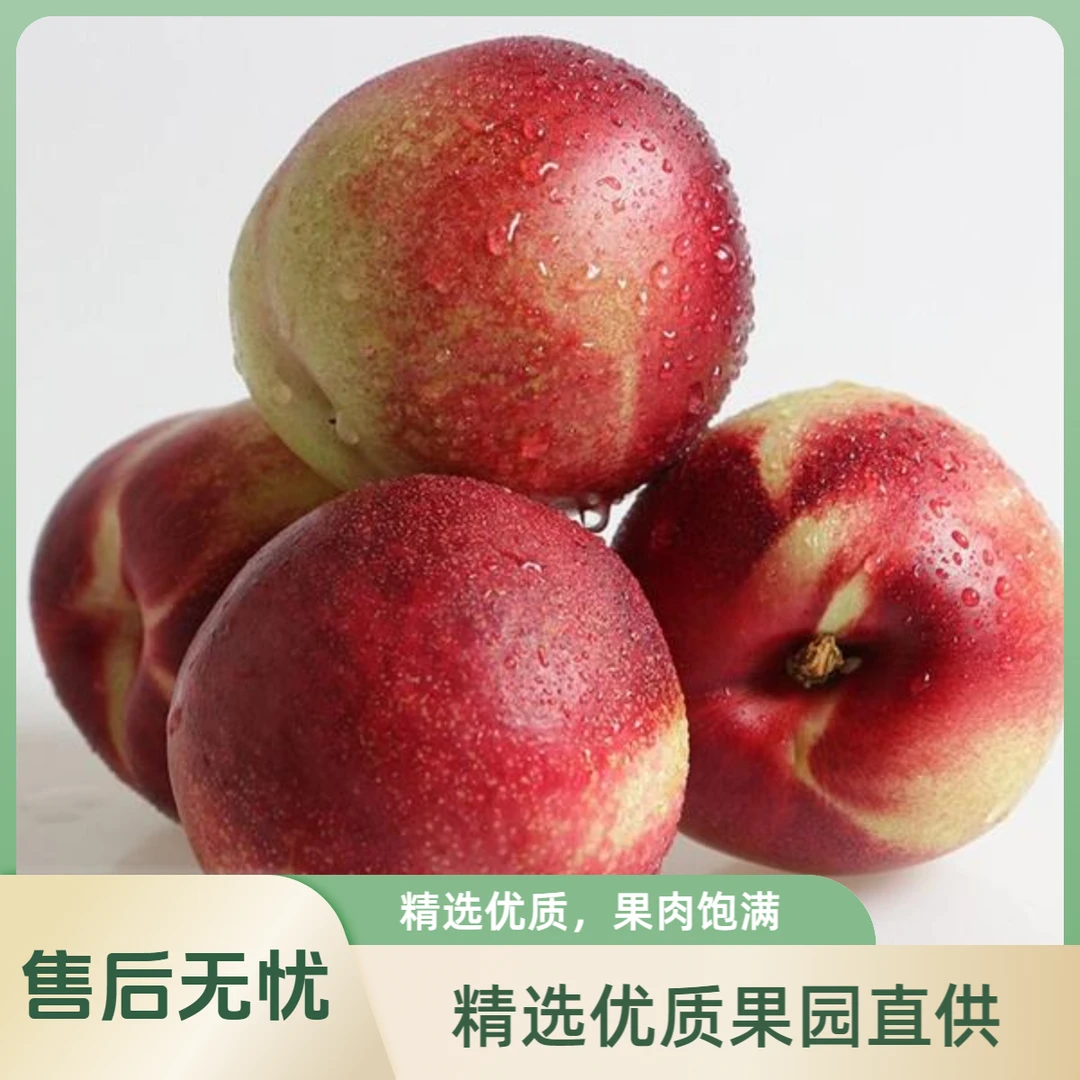 油桃 约500g山东省