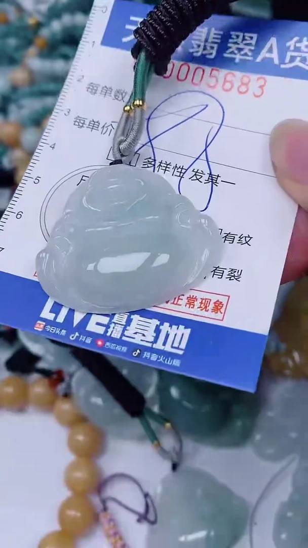 翡翠未镶嵌颈饰00005683