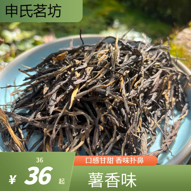 2024年云南滇红茶松针