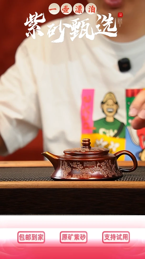 茶壶紫砂 一壶漂泊紫砂茶器
