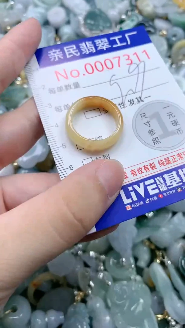 翡翠未镶嵌吊坠(不含链)7311