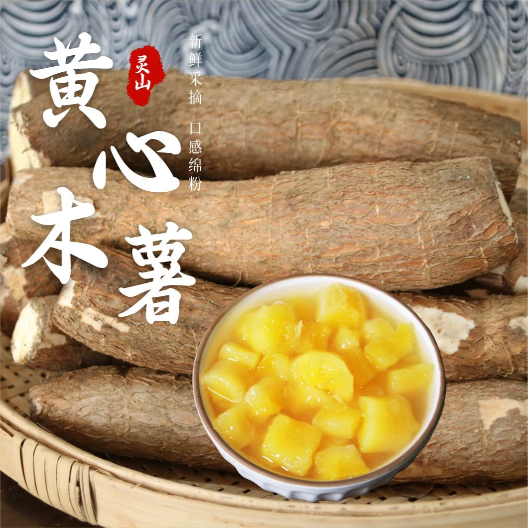 广西黄心现挖新鲜木薯正宗黄肉木薯可做糖水粗粮特产