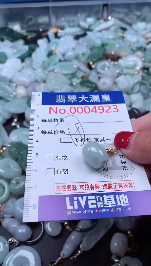 颈饰未镶嵌翡翠4923