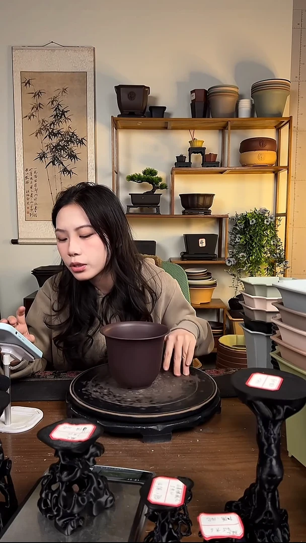 10只15口径金钟紫檀色