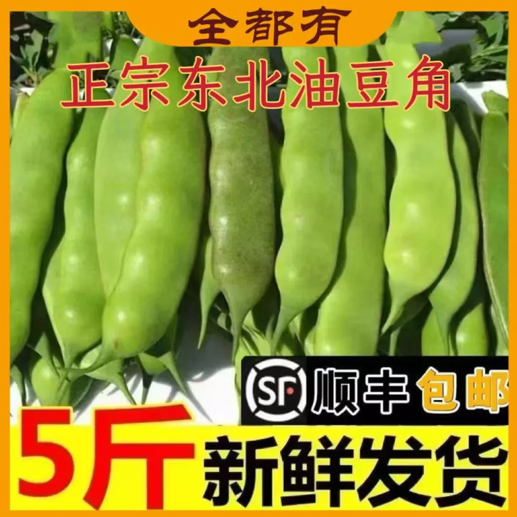 【全都有】5斤！东北正宗油豆角！净重5斤！