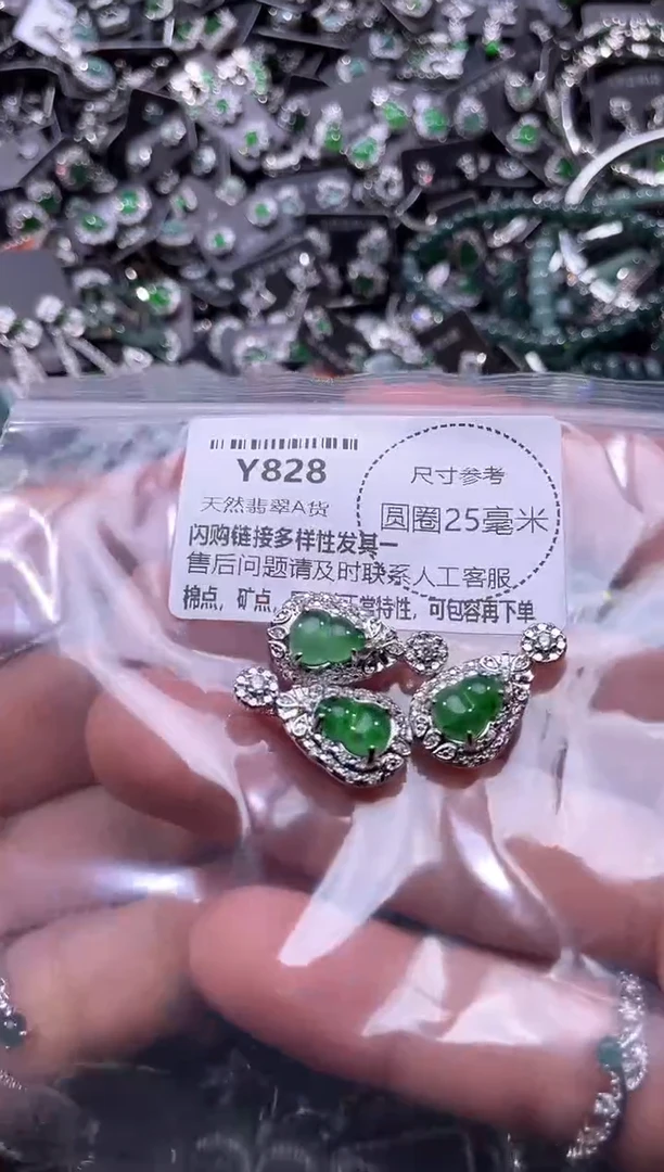 翡翠未镶嵌颈饰Y828多样性发其一