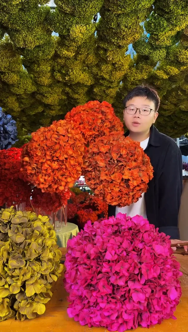 110 山前小麦 · 荷兰进口永生大叶绣球3枝（橙）