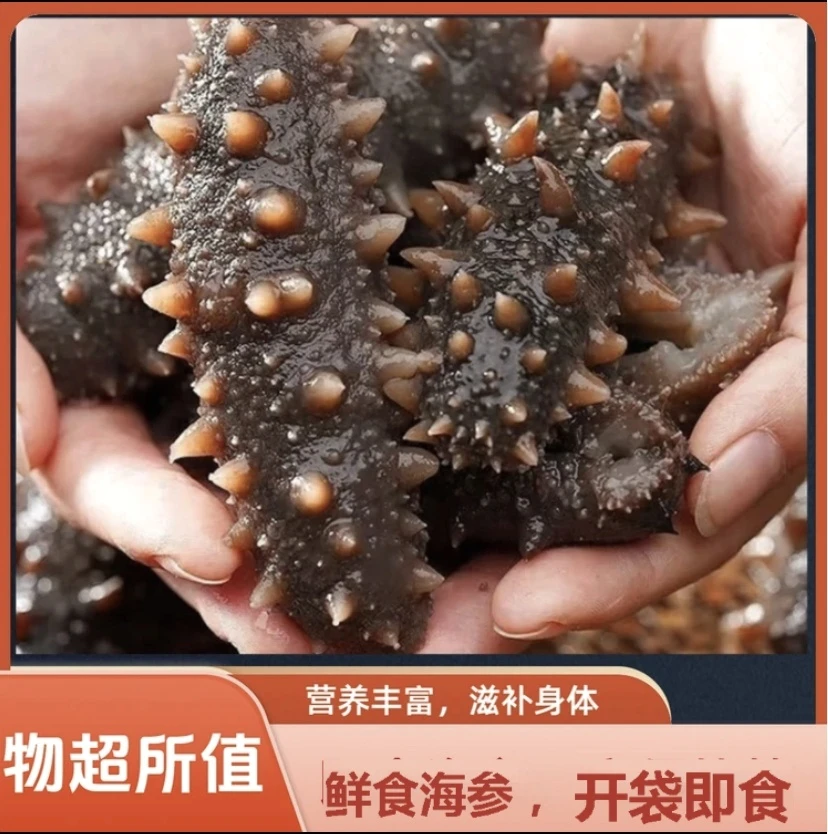 【免泡发】 6头/斤 开袋即食 非泡发 独立包装  9A高品质