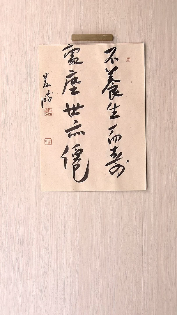 书法崔双胜 甘肃定西36*26