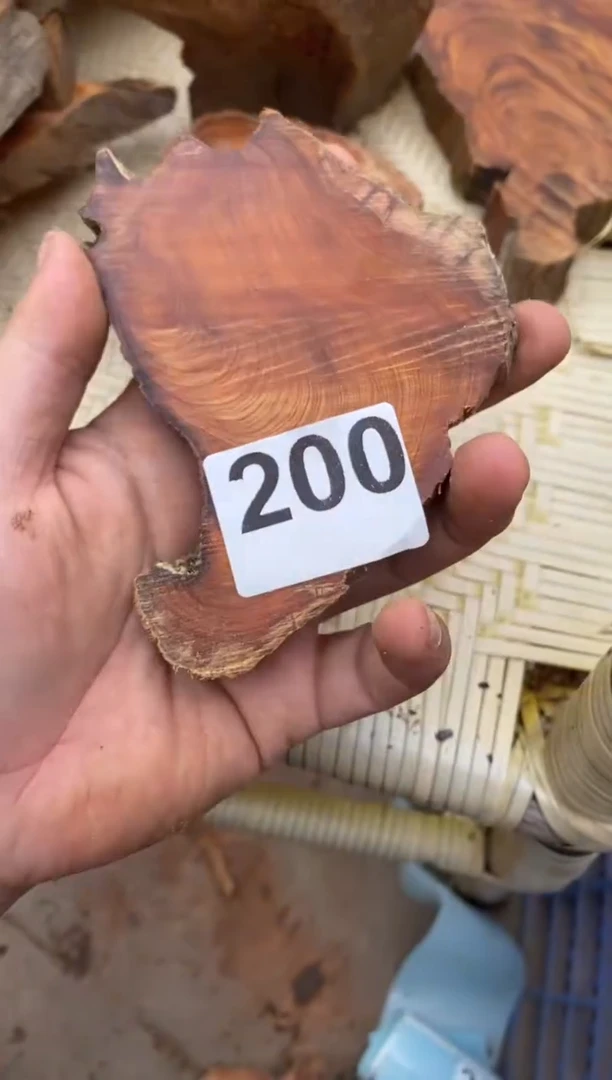 柏木（崖柏）太行陈化崖柏切片一块200
